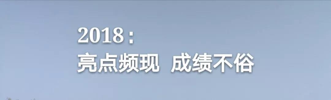 1550110019457286.jpg 2.jpg