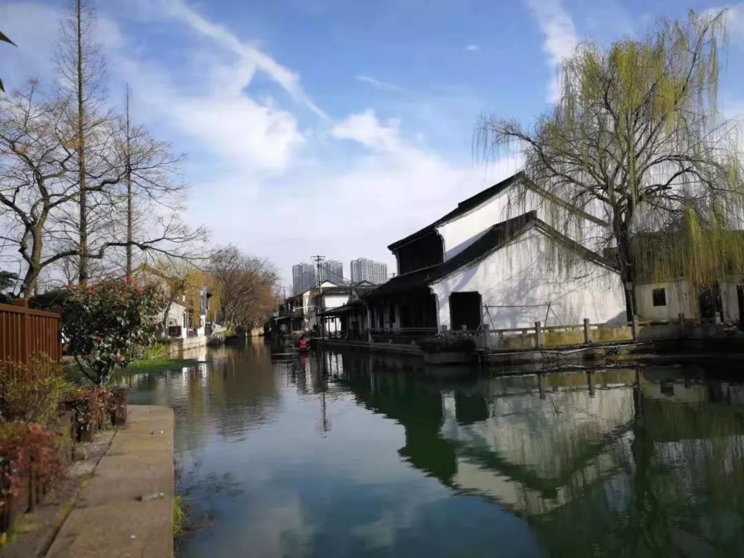 1553045533206399.jpg 1.jpg