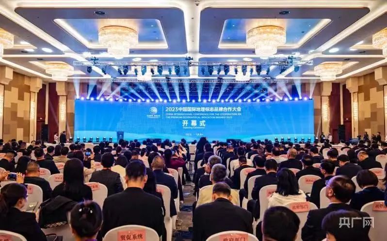 1698197094162419.jpg 1.jpg