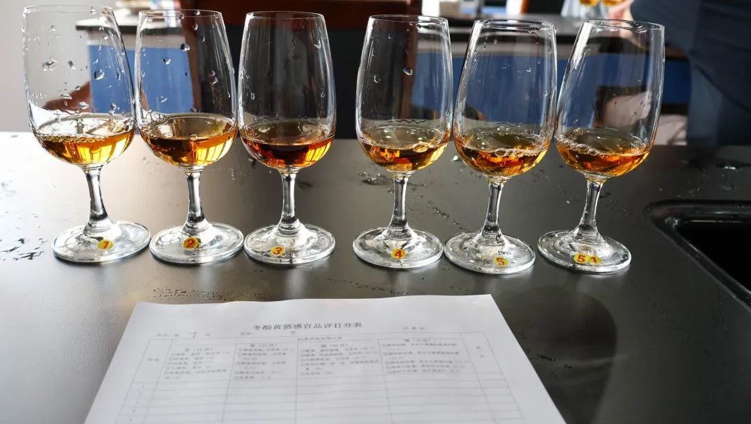 1754546951629101.jpg 5.jpg